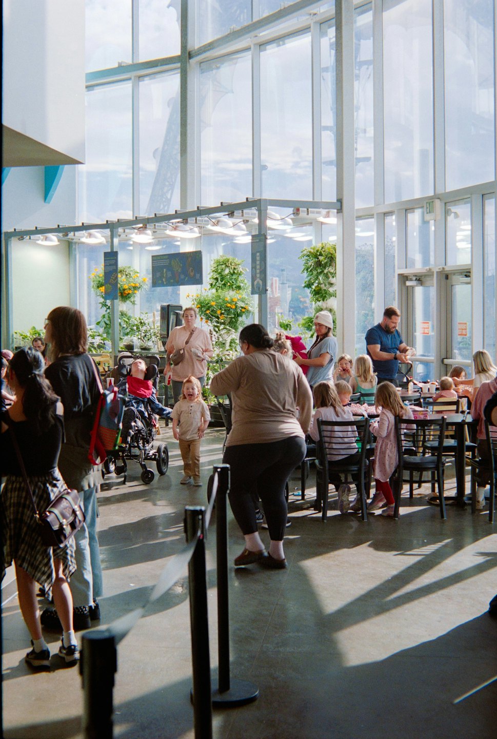 People gather and walk through a bright indoor garden center.